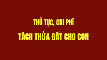 Thủ Tục, Chi Phí Tách Thửa Đất Cho Con