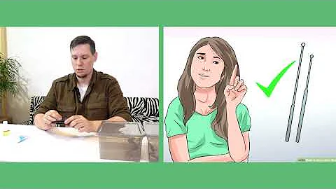Как определить пол змеи