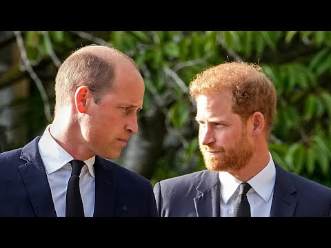 Royal expert on whether Prince William and Harry’s relationship is beyond repair