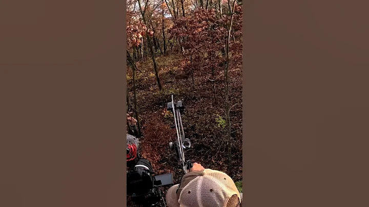 Close range perfect shot with BOW! #viralvideo #viralshorts