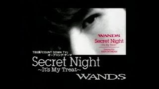WANDS - Secret Night ~It’s My Treat~
