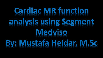 Cardiac MR function analysis using Segment Medviso