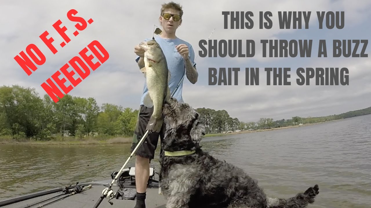 Spring Largemouth Bass Fishing (Topwater)