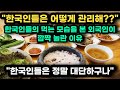 "한국인들은 어떻게 관리해??" 한국인들의 먹는 모습을 본 외국인이 깜짝 놀란 이유 // "한국인들은 정말 대단하구나" [해외반응]