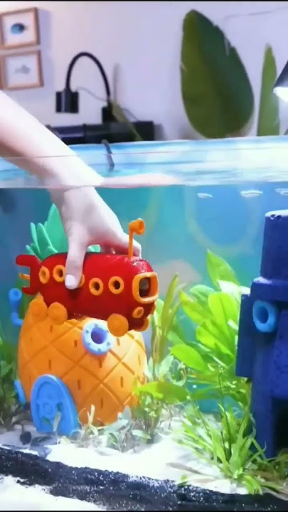 aquarium spongebob #aquarium #miniature #spongebob