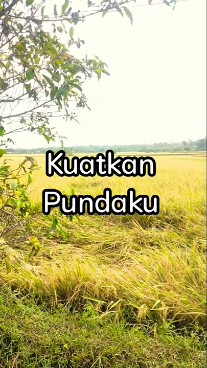 Ya Allah, kuatkan pundaku ##doamustajab #motivasi #quotes #katakatabijak