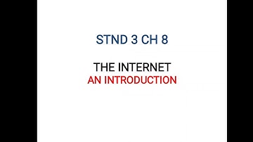 Grade 3 Computer Ch 8 The internet