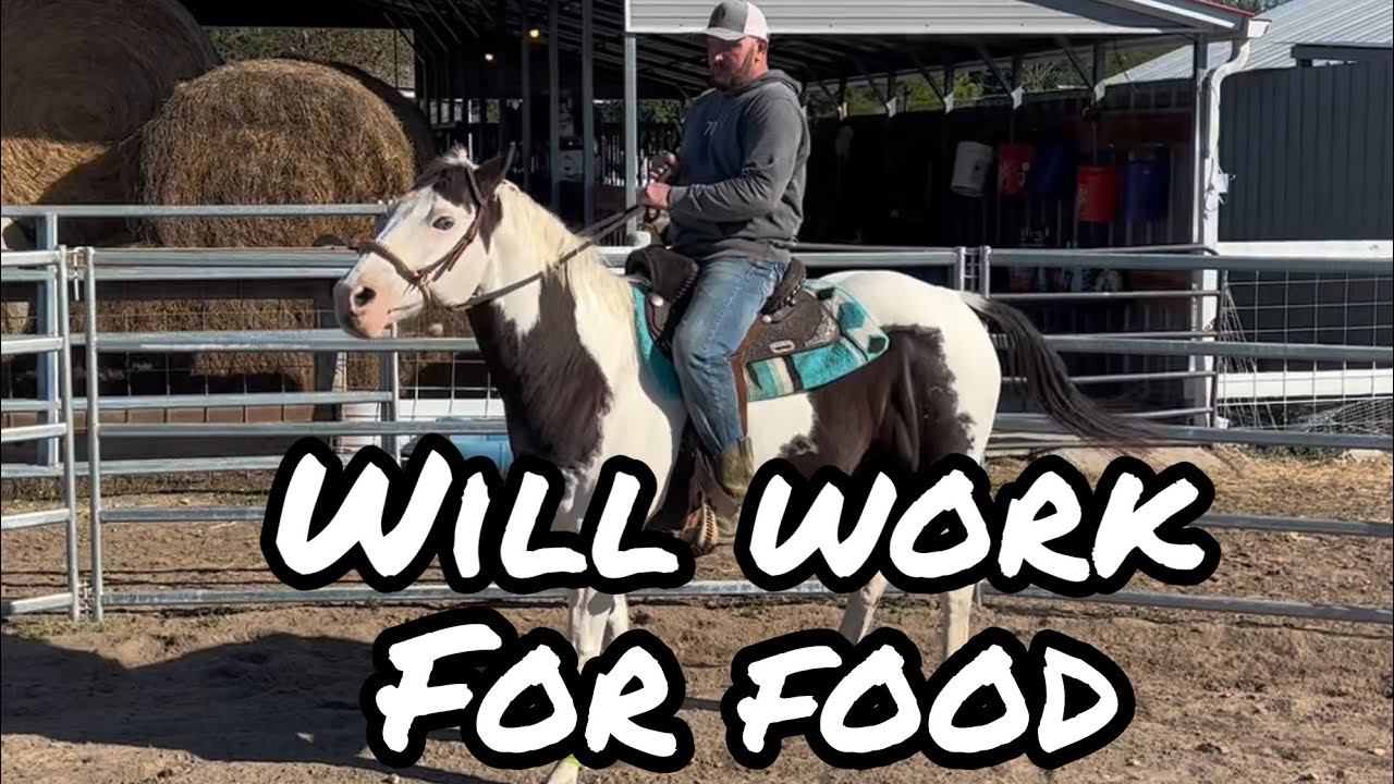 Riding a Rescue Horse - YouTube