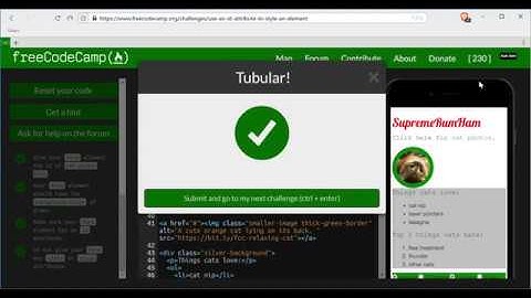 Use an ID Attribute to Style an Element- freeCodeCamp HTML5 and CSS lesson #37