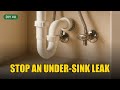 Stop an Under-Sink Leak: Trap, Supply Line, Shutoff — In That Order | DIY Guide #8