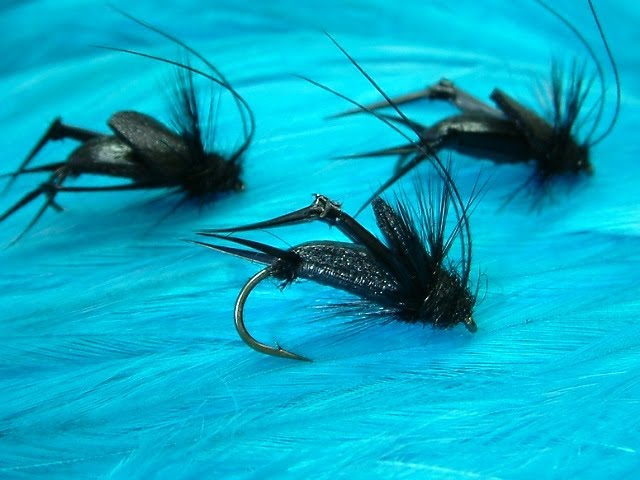 Tying Davie's Black Cricket by Davie McPhail. 