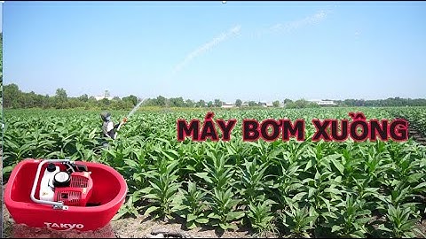 tưới vườn cây ăn trái bằng máy bơm xuồng thả nổi takyo tại bến tre, video tưới vườn bằng máy