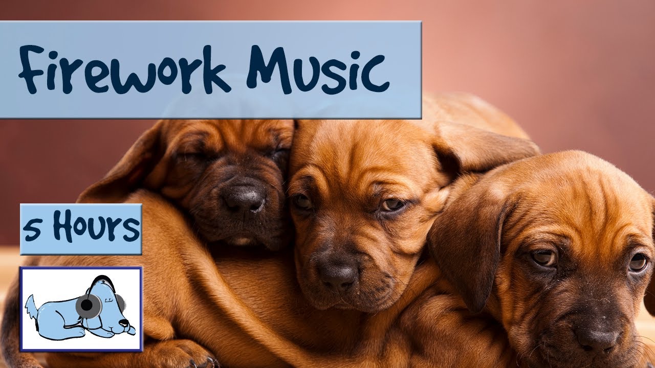 music for dogs to calm them down