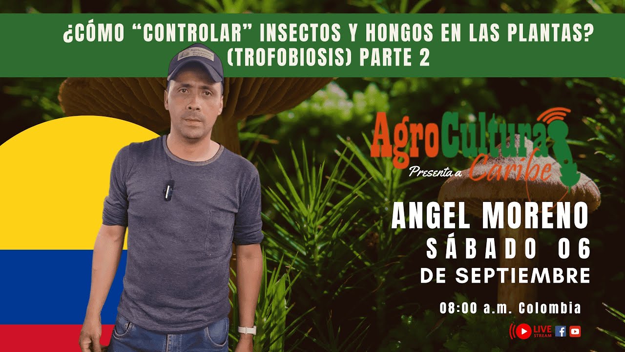 ¿Cómo “controlar” insectos y hongos  en las plantas? (Trofobiosis) parte 2