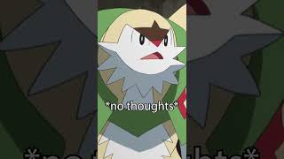 This is a Chesnaught appreciation zone.