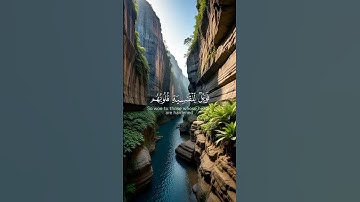 سورة الزمر الآية ٢٢ القارئ محمد اللحيدان