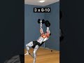 تمرينه بوش كامله