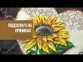 ПРЯНИК ПОДСОЛНУХ | летнее настроение, яркие мотивы | GINGERBREAD SUNFLOWER