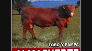 Video-Miniaturansicht von „Almafuerte - Debes Saberlo [Toro y Pampa]“