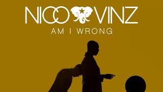 Nico \u0026 Vinz - Am I Wrong (Studio Acapella)