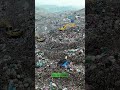 Save Our Planet! 🌎 🌱