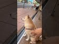 散步累了路邊休息一下