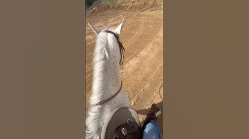 Mini vlog! 🙌🏼 | #fypviralシ #horselover #barrelracing #horse #video #equestrian #livyandhorses