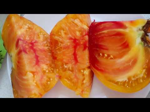 Видео: Растение грейпфрут мента - съвети за отглеждане на грейпфрут мента