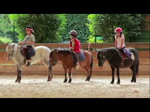 Vidéo: Poney - petits chevaux