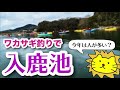 入鹿池でワカサギ釣り！　今回は２連で釣れたよ