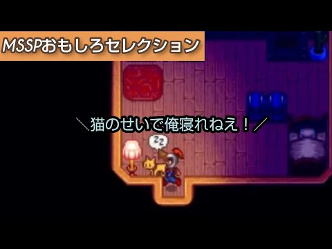 猫が邪魔してベッドに行けないFB777[MSSP切り抜き]
