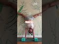 Handstands This July On The LBY Portal Free Trial At LBY Studio Handstandworkout Yoga 