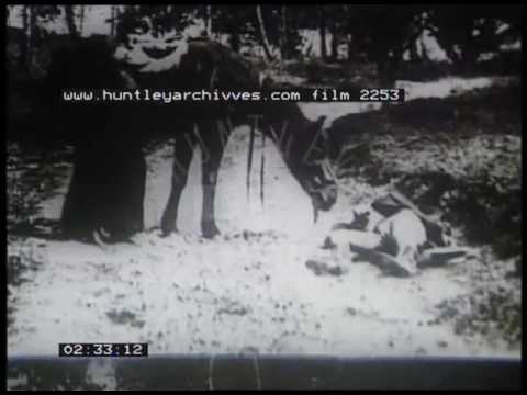 A Horse To The Rescue, 1900s - Film 2253