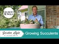 How to Grow Succulents | Garden Style (1804)