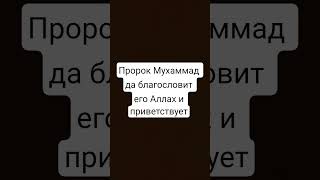 пророк Мухаммад да благословит его Аллах и приветствует | #вера #quran #sabr