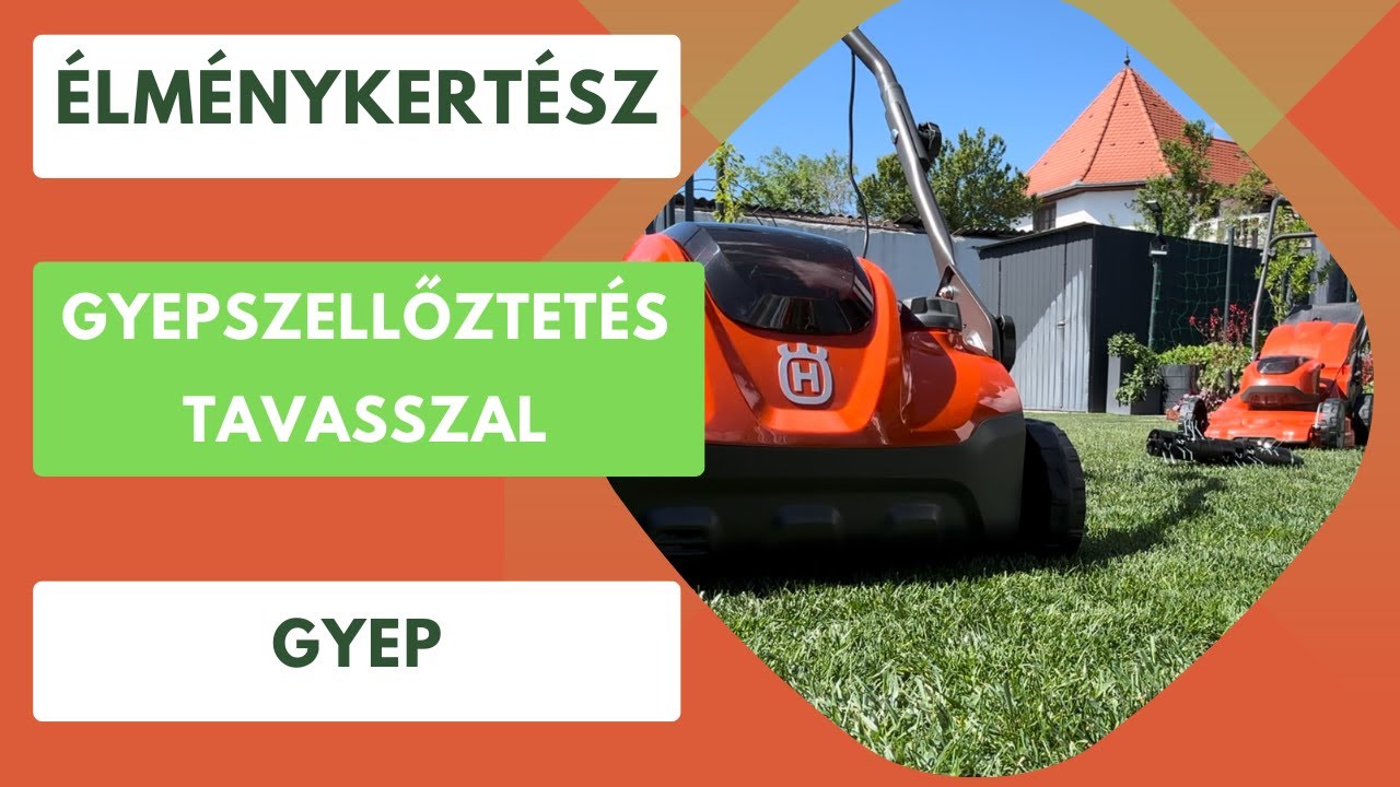 Gyepszellőztetés tavasszal🏡