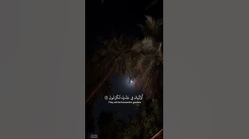 #سورة_المعارج | والذين هم على صلاتهم يحافظون ) #محمد_اللحيدان #قرآن#اقتباسات #حالات_واتس