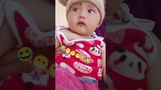 rose day 😸♥️#shorts #shortsfeed #shortvideo #youtubeshorts #trendingshorts