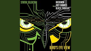 Bird&#39;s Eye View (feat. Raekwon, Joey Bada$$, Black Thought)