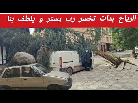 شاهدو ما حدث في تلمسان جراء رياح القوية رب يستر