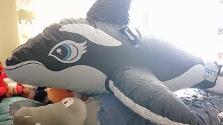 well you wanted more inflatable orca videos