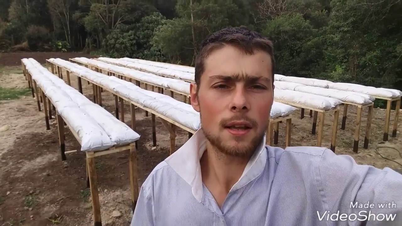 Projeto estufa de morango nos  slebs (parte 1)