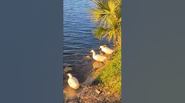 Ze zeiden dat je je zaken op orde moest krijgen... en dat deed ik