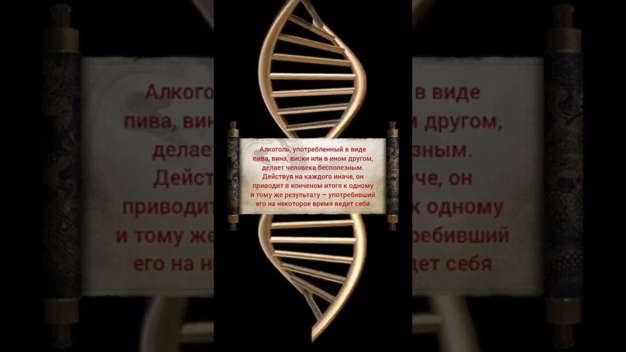 Можно Ли В Иране Купить Алкоголь