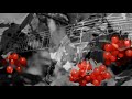 SHOSHO? - Червона Калина (Metal Version) #червонакалина #ойулузічервонакалина #перемога