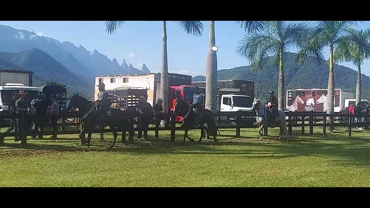I Copa de Marcha do Haras dos Anjos - 2023 - Cavalo Adulto- MB - YouTube