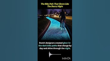 Netherlands Unveils Glow-in-the-Dark Bike Paths: Sustainable Innovation That Lights the Way