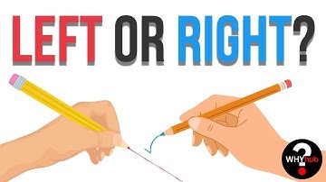 Left-Handed vs. Right-Handed: Why Do We Have Different Dominant Hands?
