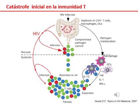 Vídeo: Respuestas Inmunohematológicas Y Virológicas Y Predictores De Falla Virológica En Adultos Infectados Con VIH-1 En Terapia Antirretroviral De Primera Línea En Camerún