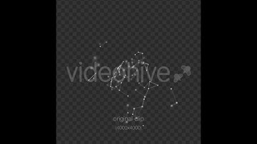 Plexus | Motion Graphics - Videohive template